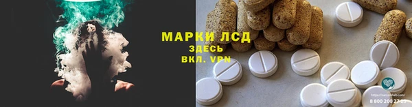 гидра Аркадак