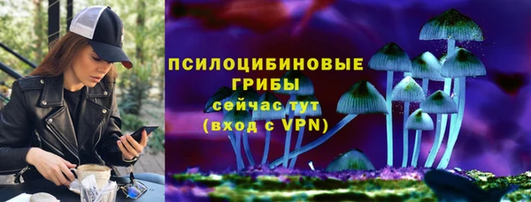 гидра Аркадак