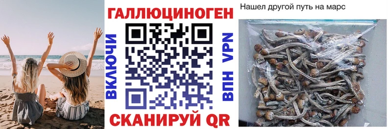 Галлюциногенные грибы прущие грибы Светогорск